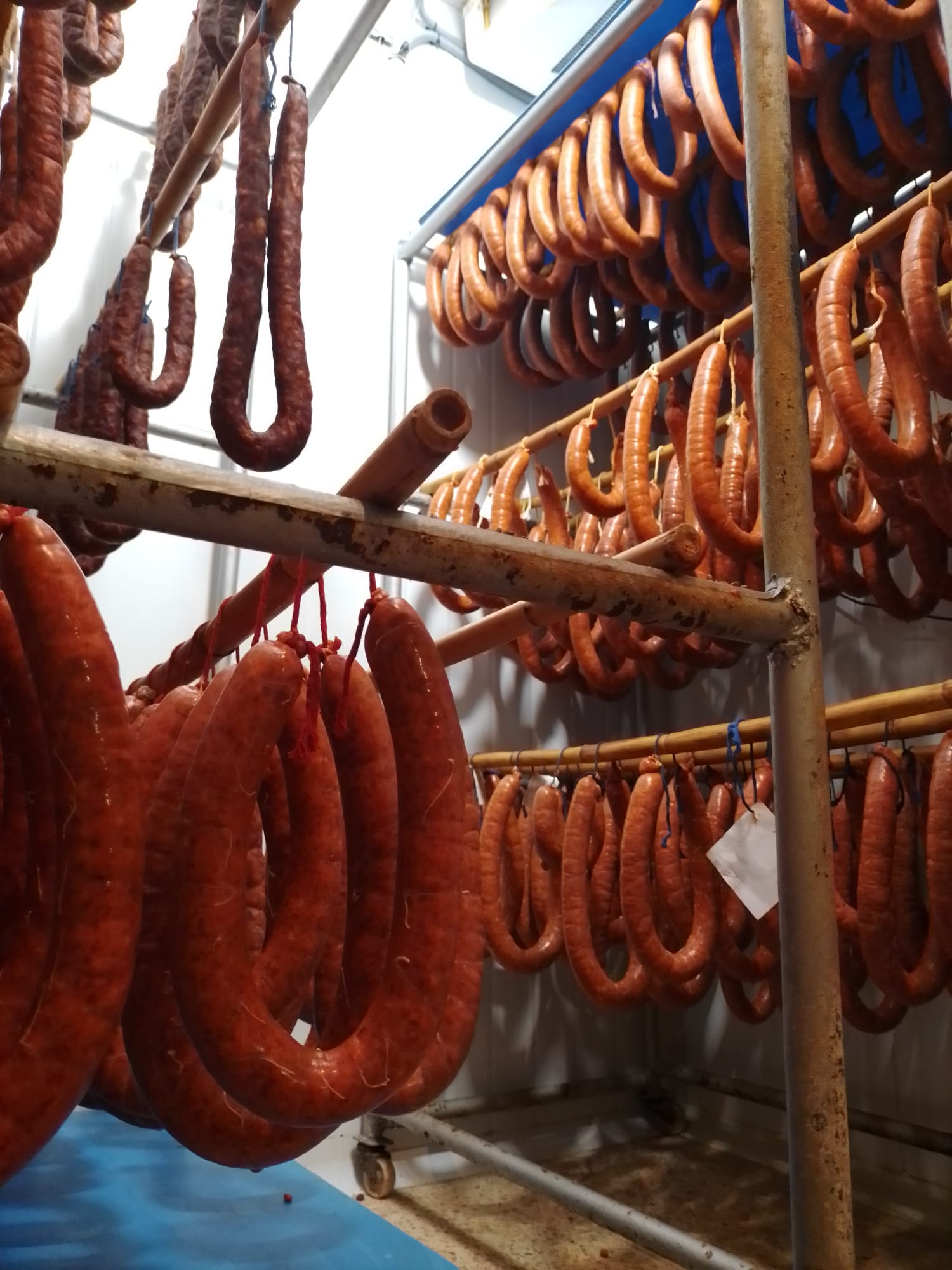 Carnicería Ajamil 04